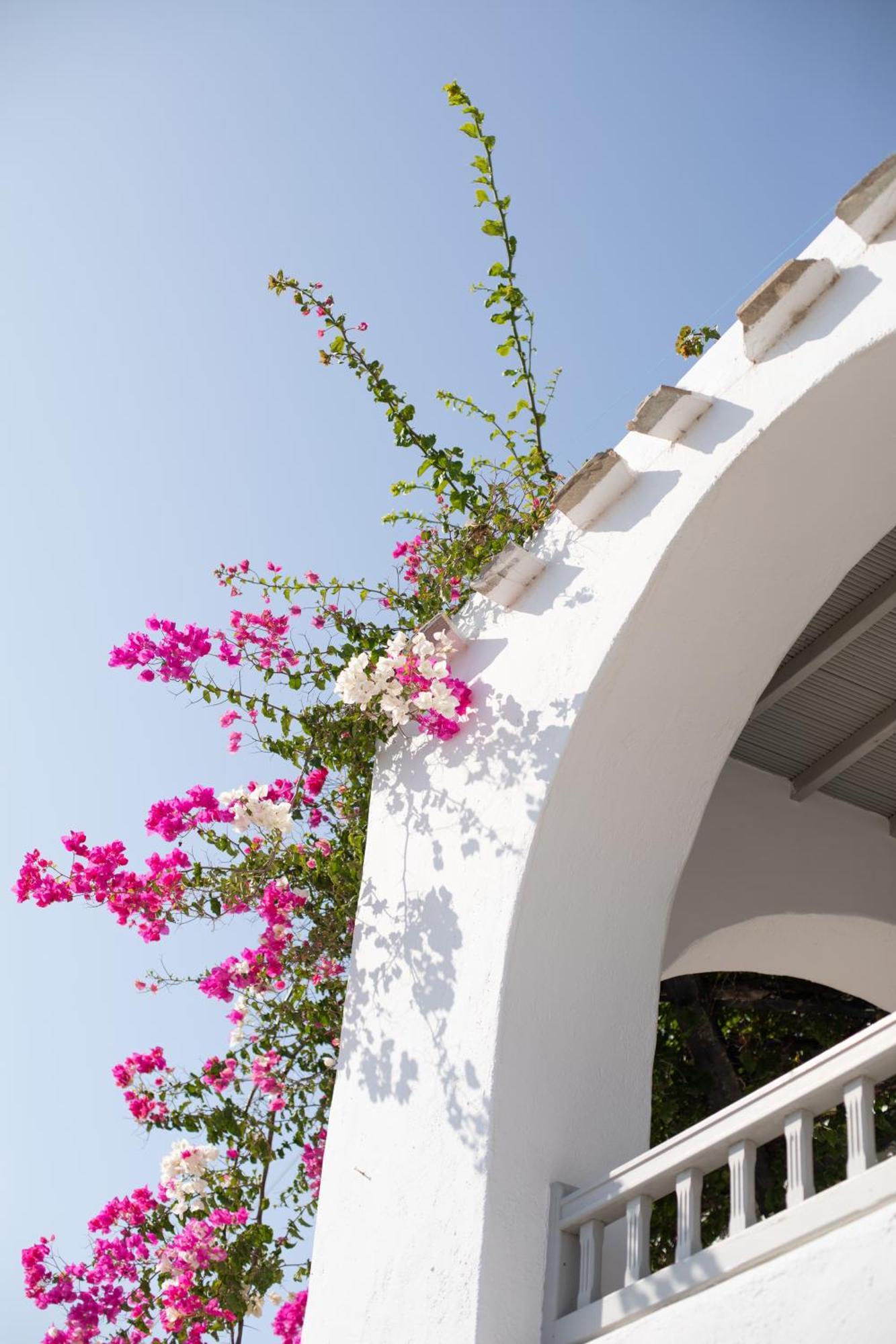 Apostolis Windmill Apartment Psarou  Ngoại thất bức ảnh