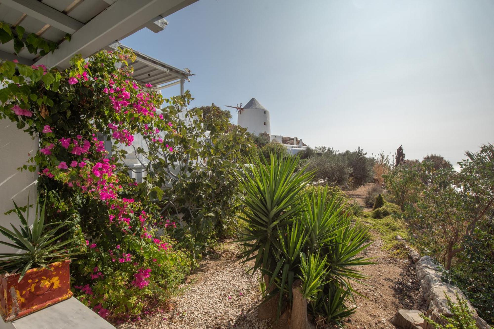 Apostolis Windmill Apartment Psarou  Ngoại thất bức ảnh